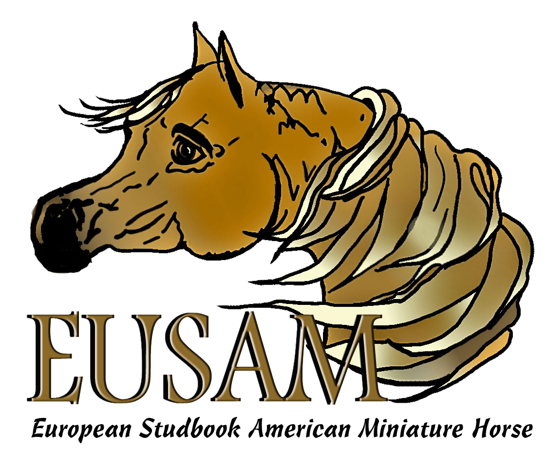 Europees Stamboek Amerikaans Miniatuurpaard | Eusam